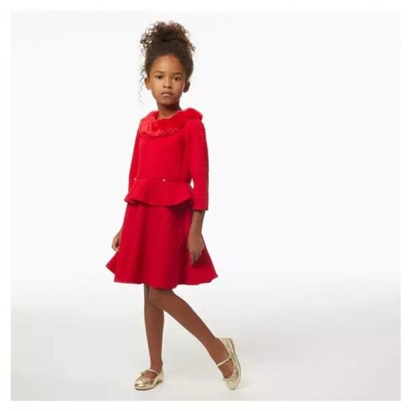 Janie and Jack Red Faux Fur Collar Jacquard Mini Dress Size 6-12 M - Picture 1 of 7